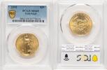 US Gold Eagle 1/2 oz Blue Gradient Gold Eagles -