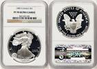 US Proof Silver Eagle 1 oz Brown Label Silver Eagles -