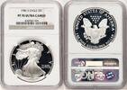 US Proof Silver Eagle 1 oz Brown Label Silver Eagles -