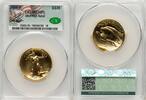 US G$20 Ultra High Relief 2009 Ultra High Relief Double Eagles () CACG MS70 4,002.50 £ Tax included +  33.23 £ shipping