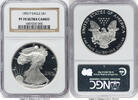 US Proof Silver Eagle 1 oz Brown Label Silver Eagles -