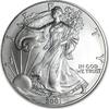 USA Eagle 2001 1 ounce silver -