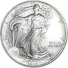 USA Eagle 1995 1 ounce silver -