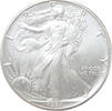 USA Eagle 1991 1 ounce silver -