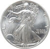 USA Eagle 1989 1 ounce silver -