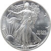 USA Eagle 1990 1 ounce silver -