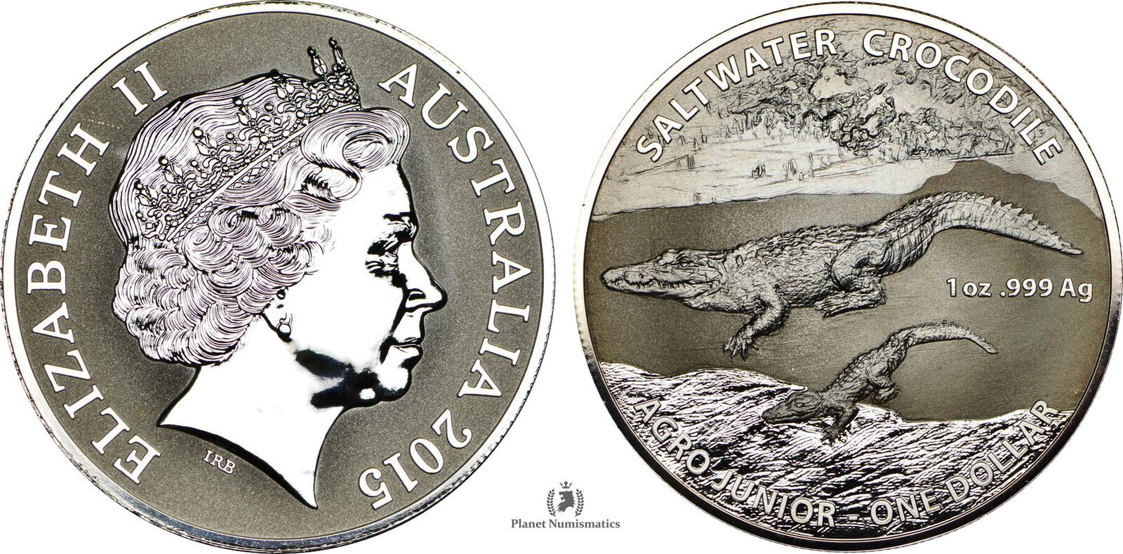 2015-silver-1-oz-crocodile-agro-juni_1733403960.jpg