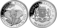Somalia 100 Shilling 2021 100 Shilling Somalia ELEFANT 2021  1 Unze fein... 39.01 £  +  41.61 £ shipping