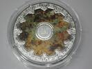 FRANKREICH 250 Euro 2025 250 Euro Silber 1/2 Kg coloriert 2025 Palais Ga... 2,228.37 &pound;  +  shipping