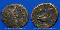 GREEK COINS bronze Phénicie. Arados. Petit an 113 (147-146 AC) -