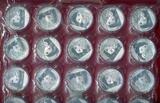 China Volksrepublik PRC 30 x 10 Yuan Panda 1 Unze 2011 Originalpalette in Folie - Original packaging - very rare BU with capsules