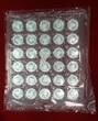 China Volksrepublik PRC 30 x 10 Yuan Panda 1 Unze 2011 Originalpalette in Folie - Original packaging - very rare BU with capsules