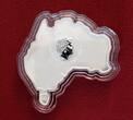 Australien 1 Dollar Silbermünze - 1 oz Silver Coin OVP 2016 Australian Map Shaped Coin - Great White Shark - Weißer Hai BU colorated (slightly toned) with orig. packaging