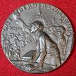 Germany Deutschland Karl Götz Medaille Gußeisen Medaille Cast Iron Medal 1917 Friedensresolution des Deutschen Reichstages Friedrich Ebert mit Palmzweig RAR USA almost as cast blackened