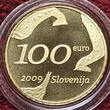 Slowenien 100 Euro Goldmünze 2009 Zoran Music 1909-2005 Proof with box and coa