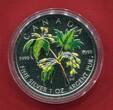 Kanada 5 Dollars Silbermünze 2003 Maple Leaf (1 oz, m. Farbapplikation) BU in capsule w. certificate and box