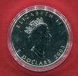 Kanada 5 Dollars Silbermünze 2003 Maple Leaf (1 oz, m. Farbapplikation) BU in capsule w. certificate and box