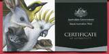 Australien 1 Dollar Silbermünze teilcoloriert 2015 Alphabet-Collection - Buchstabe D / Letter D - Tasmanian Devil BU in capsule w. certificate, orig. packaging