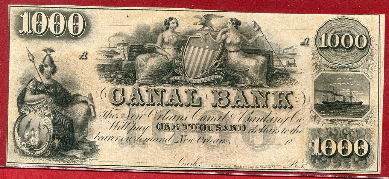 1000 century. 1000 Dollars. 20 Долларов США 19 век canal Bank. New 1000 Dollar.