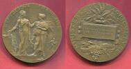 Frankreich Bronzemedaille Landwirtschaftsministerium Preismedaille Randpunze Bronze -