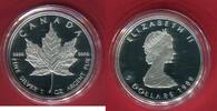Kanada 5 Dollars Silbermünze Maple Leaf Proof -