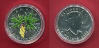 Kanada 5 Dollars Silber Ahornblatt und Samen (1 oz, m. Farbapplikation) -