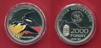 Ungarn 2000 Forint Silber Rauchschwalbe (Hirundo rustica) – WWF Serie (m. Farbapplikation) -
