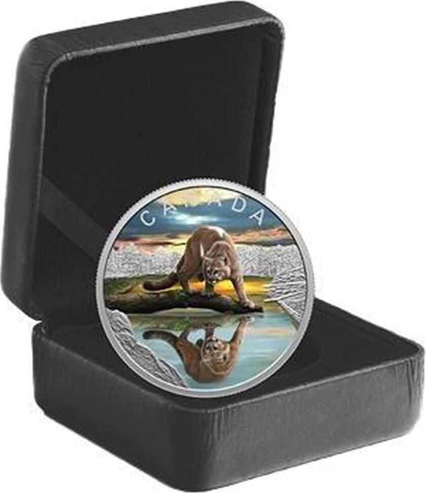 20 Dollars COUGAR Wildlife Reflections Silver Coin 20$ Canada 2024 Proof |  MA-Shops