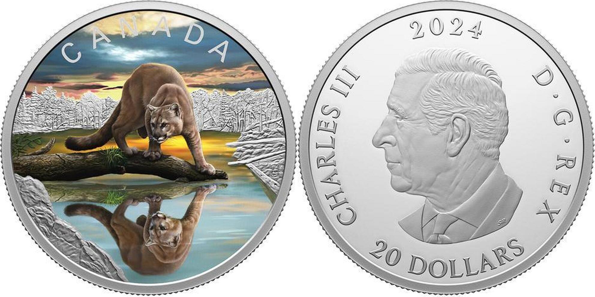 20 Dollars COUGAR Wildlife Reflections Silver Coin 20$ Canada 2024 Proof |  MA-Shops