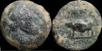 IBERIAN PUNIC REPUBLICAN Ancient Hispania - Uncertain Quadrans, (Jabalí Clava) - 20 mm / 7.26 gr. -