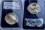 Eagle G$50 2018 W USA – American Eagle Gold Proof – 2018 – 50 US Dollar ... 3,251.06 £  +  85.83 £ shipping