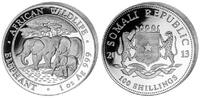 Somalia Republic 100 Shillings Elephant / Elefant -