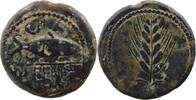 Celtic coins  Celtiberians  Ilipense  ESPAGNE - Ilipense (Alcala del Rio... 199.40 £  +  6.07 £ shipping
