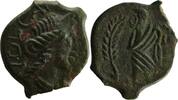 Celtic coins Bronze Volques Arécomices VOLQUES ARECOMIQUES (région de Nîmes) Bronze VOLCAE / AREC TTB -