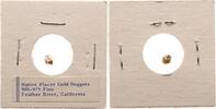 USA Nugget Goldnugget - Feather River California -