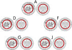 Deutschland 5 x 10 Euro 2023 Deutschland uncirculiert 75.32 &pound;  +  21.16 &pound; shipping