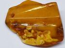 Großer Anhänger Bernsteinanhänger Bernstein Amber Butterscotch 老琥珀 كهرمان -