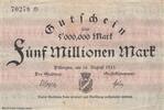 Deutschland Deutsches Reich 5 Millionen Mark Notgeld Notgeldschein Dillingen Bayern -