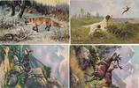 8 Künstler Karten um 1910 " Tiere " -