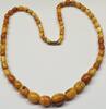 Bersteinkette Collier Kette Bernstein Bernsteinschmuck Amber Butterscotch كهرمان 琥珀 kehribar -