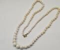 Korallenschmuck Lange Engelshautkoralle Koralle Korallenkette Korallencollier L 68 cm -