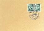Drittes Reich, Deutschland Briefumschlag mit Briefmarke Pasewalk -