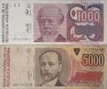 Argentinien 1000,5000 Australes Banknoten 2 Stück Lot, Banco Central de la Republica Argentina -