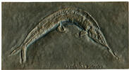 Deutschland - BRD, Relief v. Strassacker o. J., Fossiler Raubfisch Aspid... 52.02 £  +  17.34 £ shipping