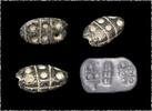 Ancient art Rare multifacial amulet stamp seal, Halaf period, Mesopotamia -