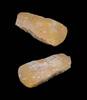 Ancient art Patinated Danish neolithic Neolithic axe, c. 3000 BC -