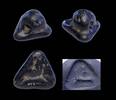 Ancient art Nice Triangular serpentine stamp seal Mesopotamia, 1200-800 BC -