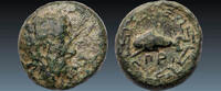 Ancient coins Greek coins: Ionia Priene bronze with Poseidon - RRR-unpublished -
