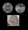 Ancient art Scarce stone stamp seal, Ancient Near East, 5th.-4th. mill. BC -
