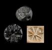 Ancient art Early stone stamp seal w star, Ancient Near East, c. 4th. mill. BC -